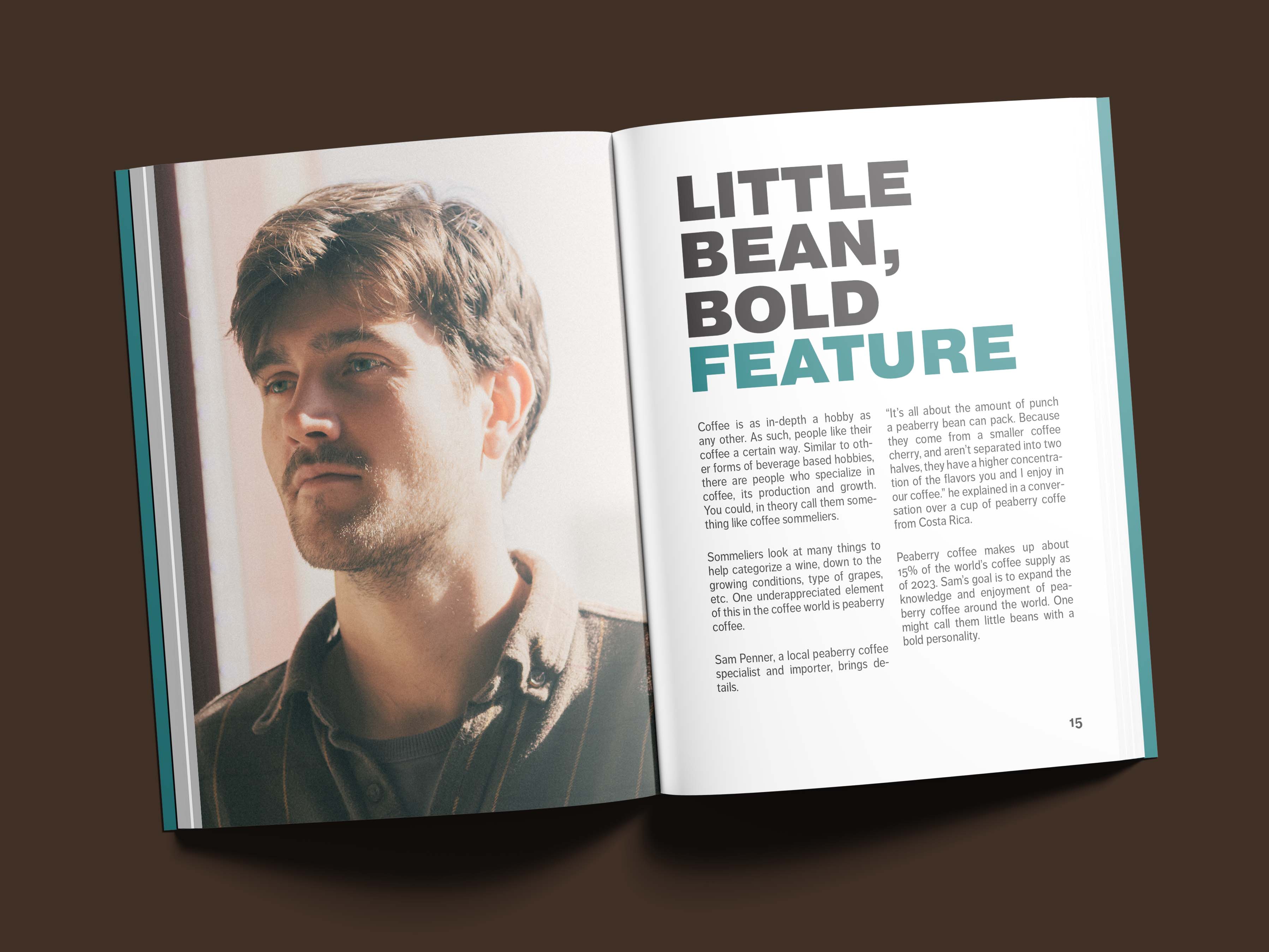 An annual report for fictional coffee company Little Bean.